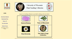 Desktop Screenshot of botit.botany.wisc.edu