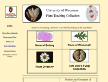 Tablet Screenshot of botit.botany.wisc.edu